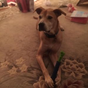 Meet your Posher, Sandra